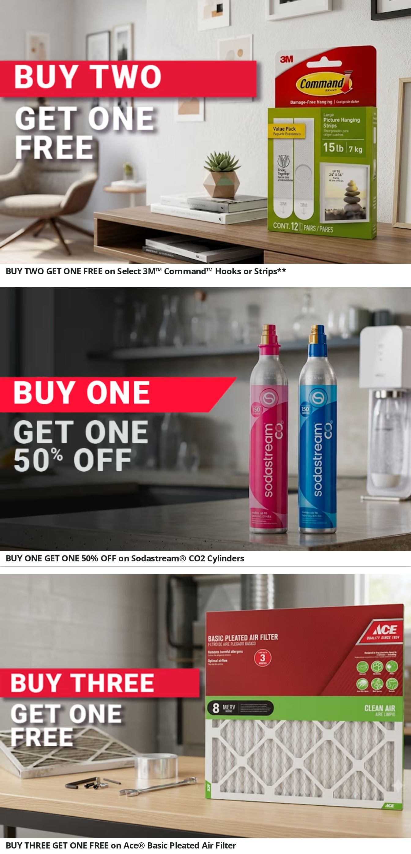 Potter's Ace Home Center (Livingston and Oneida, TN) Weekly Ad August 1 - 31, 2026