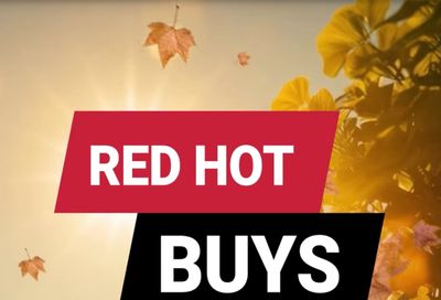 Potter's Ace Home Center (Monterey and Woodbury, TN) Weekly Ad August 1 - 31, 2026