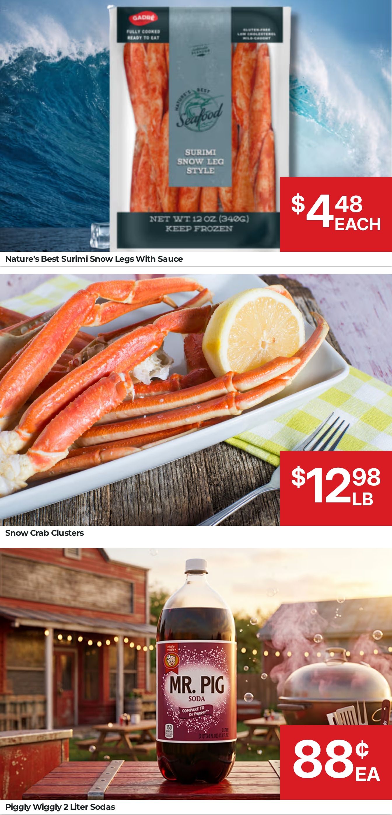 Valdosta Cost Plus Weekly Ad August 19 - 25, 2026