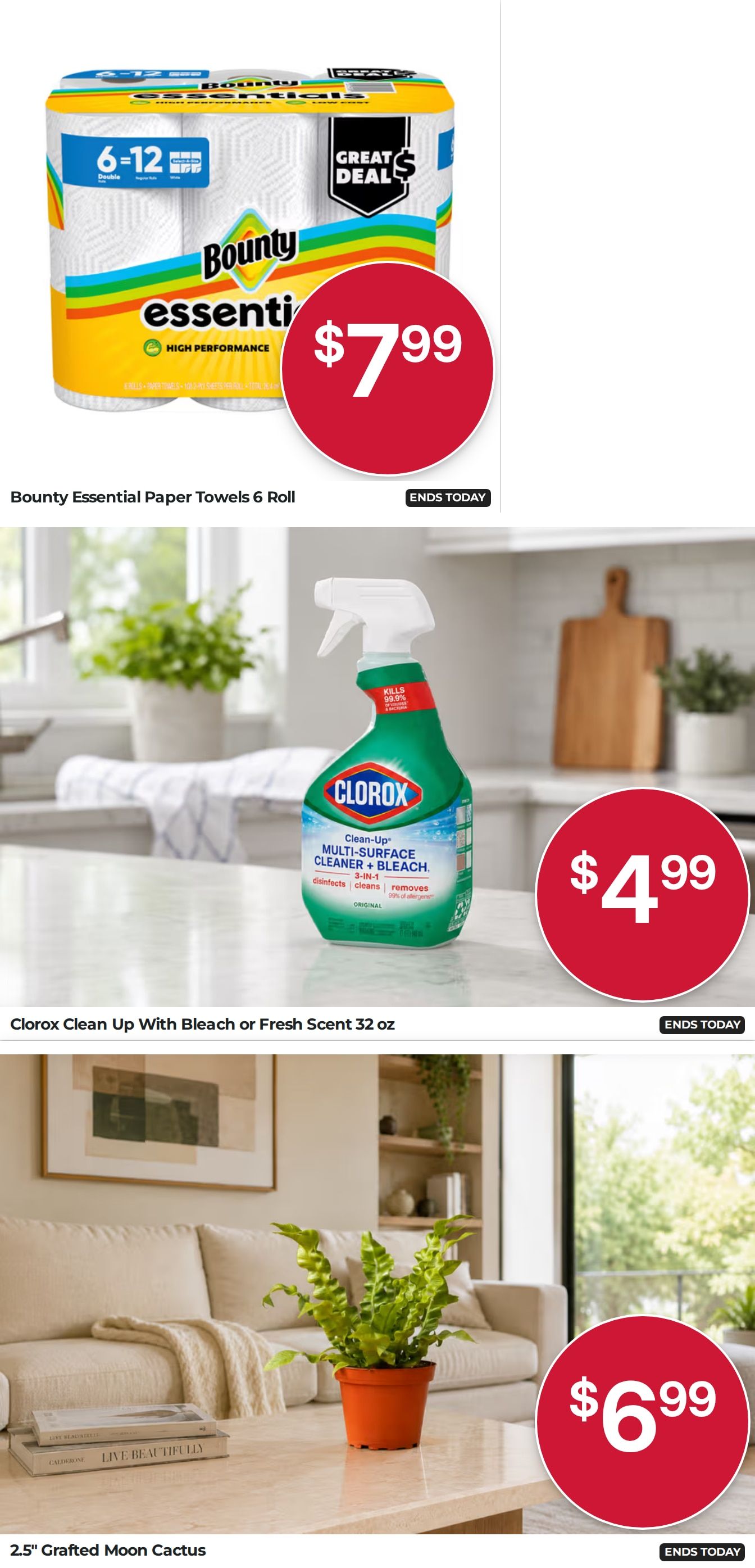 Union Springs Piggly Wiggly Weekly Ad August 19 - 25, 2026