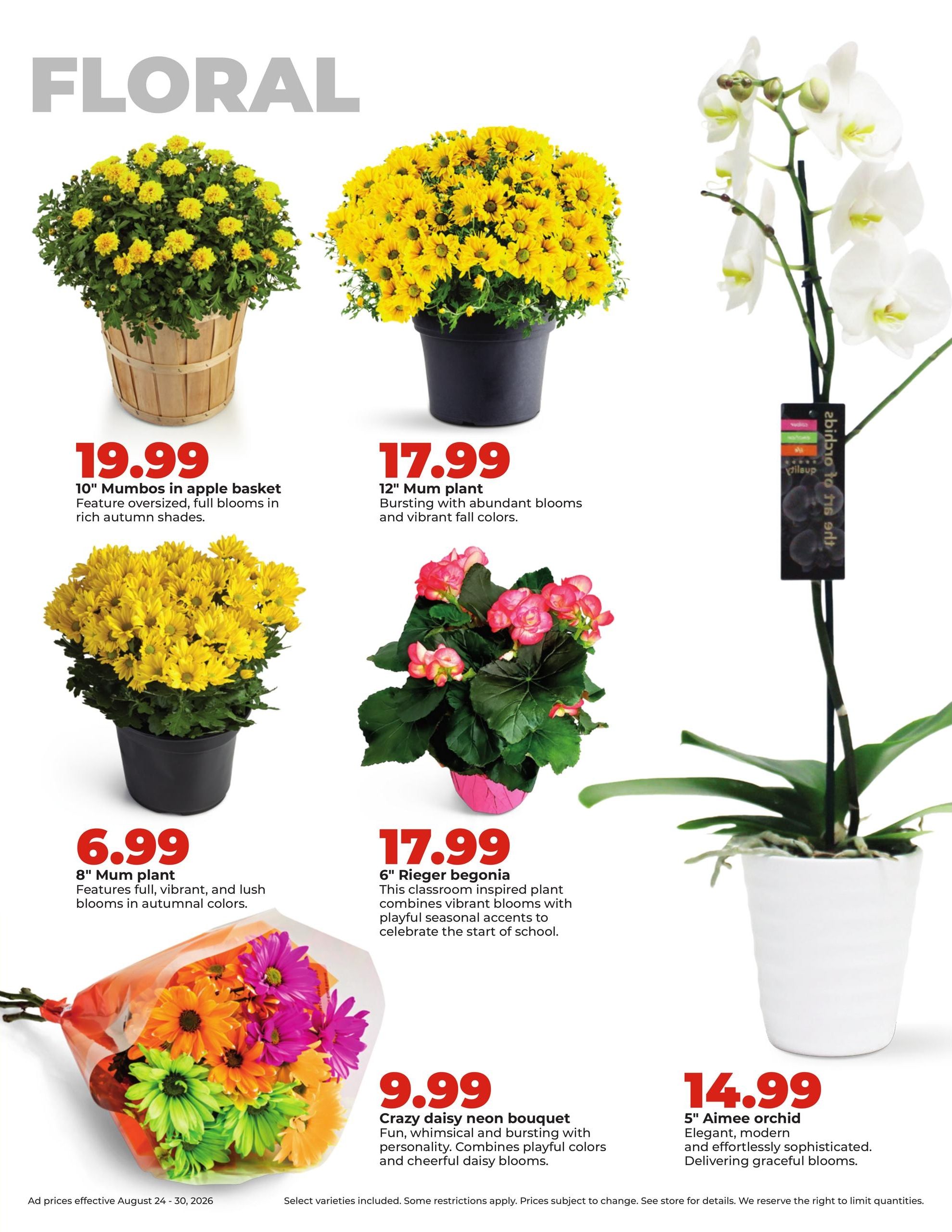 Hy-Vee (Maysville Area, MO) Weekly Ad August 24 - 30, 2026
