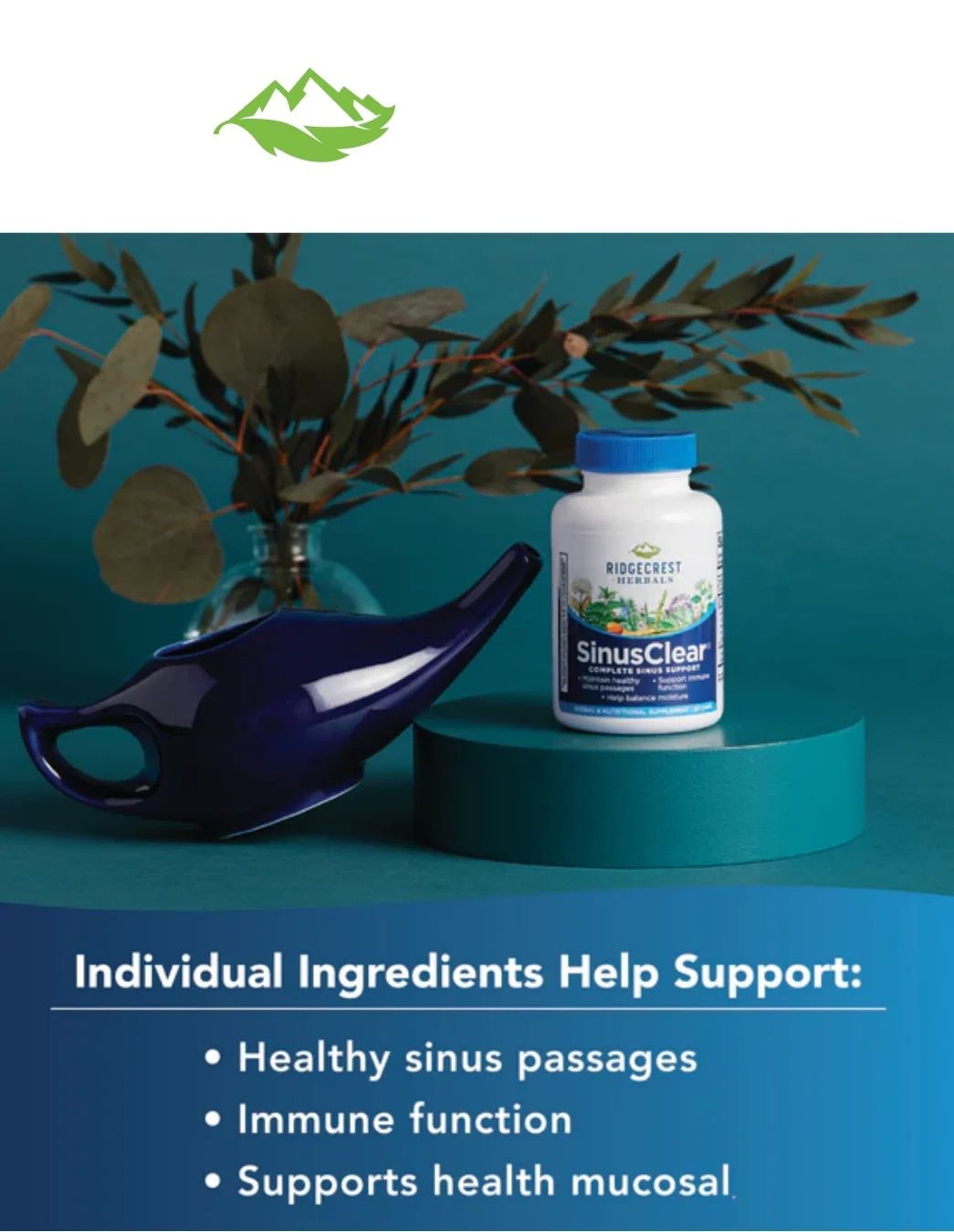 Nutrition Smart Weekly Ad August 19 - 25, 2026