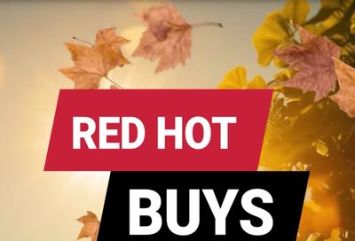 Ace Fix It (DuBois, PA) Weekly Ad August 1 - 31, 2026