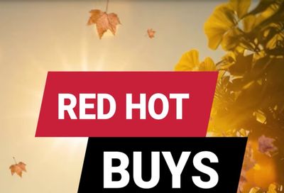 Ace Fix It (Pittsburgh, PA) Weekly Ad August 1 - 31, 2026