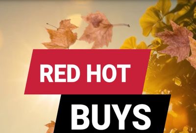 Ace Fix It (Brookville, PA) Weekly Ad August 1 - 31, 2026