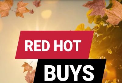 Ace Fix It (Hodgenville, KY) Weekly Ad August 1 - 31, 2026