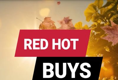 Ace Fix It (Huntingdon, PA) Weekly Ad August 1 - 31, 2026