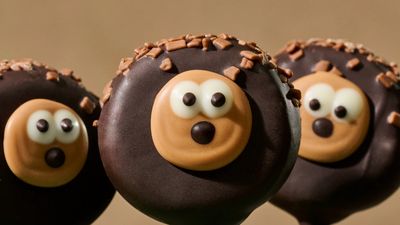 Starbucks: New Hedgehog Cake Pop