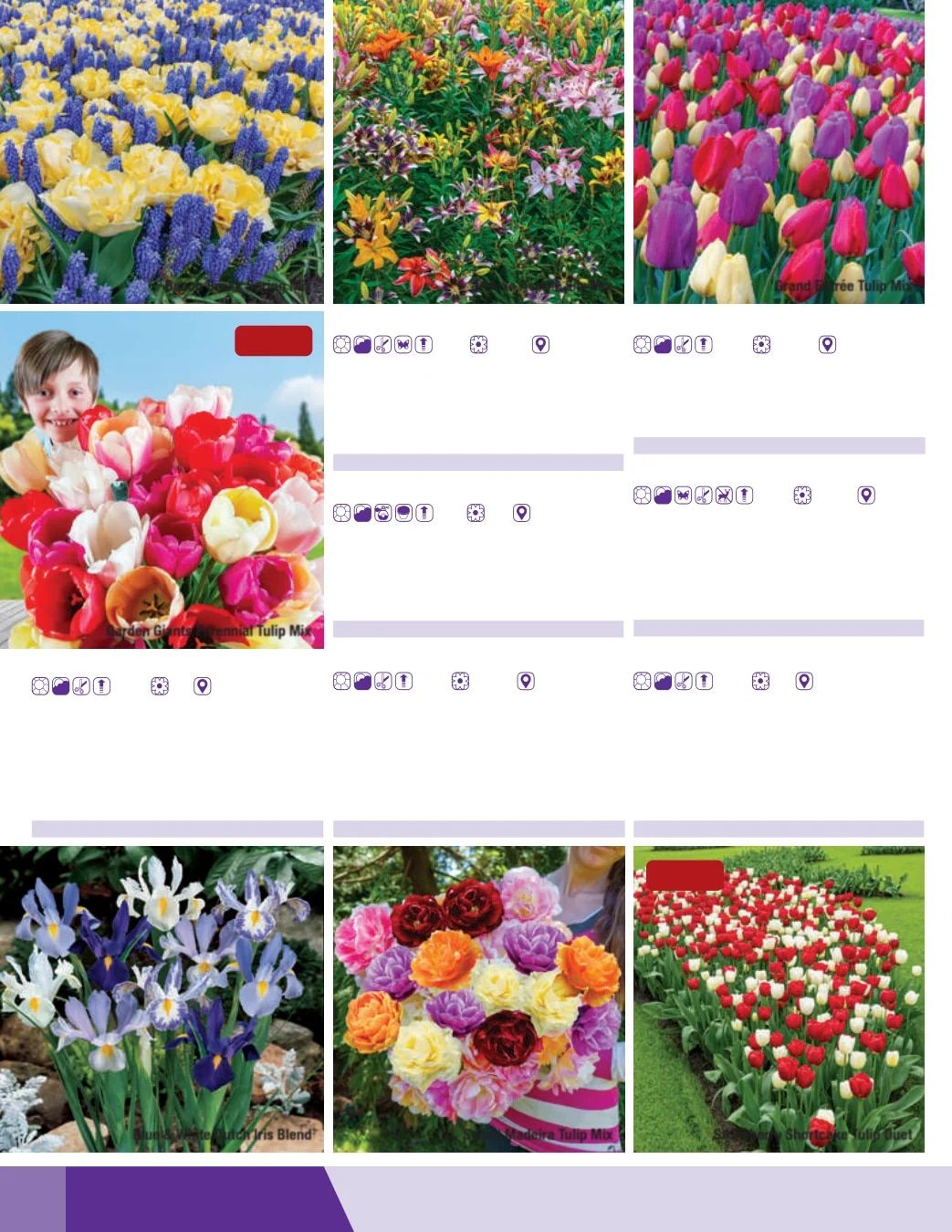 K. van Bourgondien Fall 2026 Catalog Weekly Ad July 1 - December 31, 2026