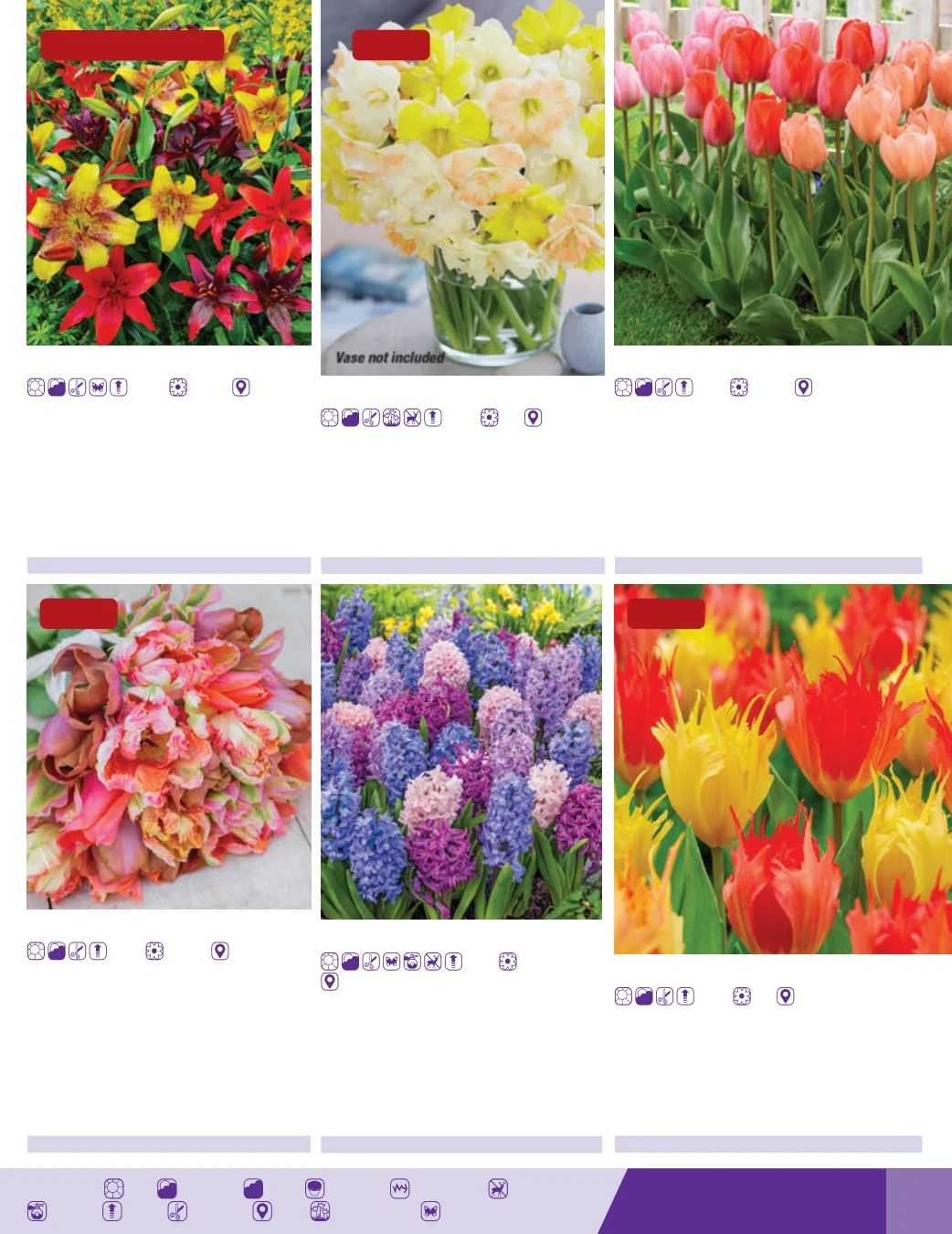 K. van Bourgondien Fall 2026 Catalog Weekly Ad July 1 - December 31, 2026