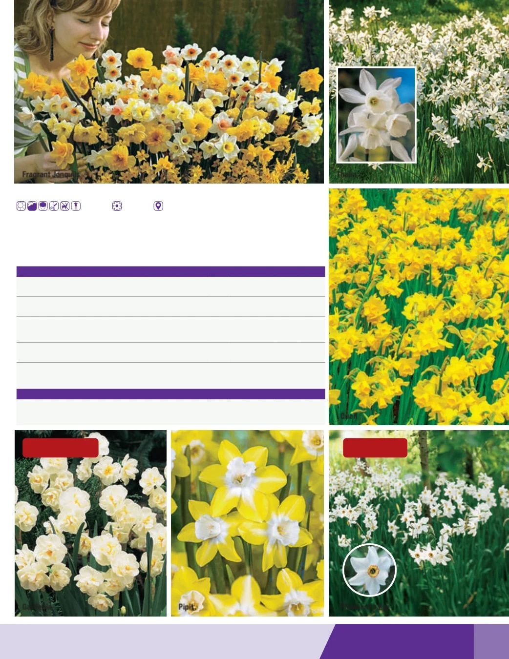 K. van Bourgondien Fall 2026 Catalog Weekly Ad July 1 - December 31, 2026