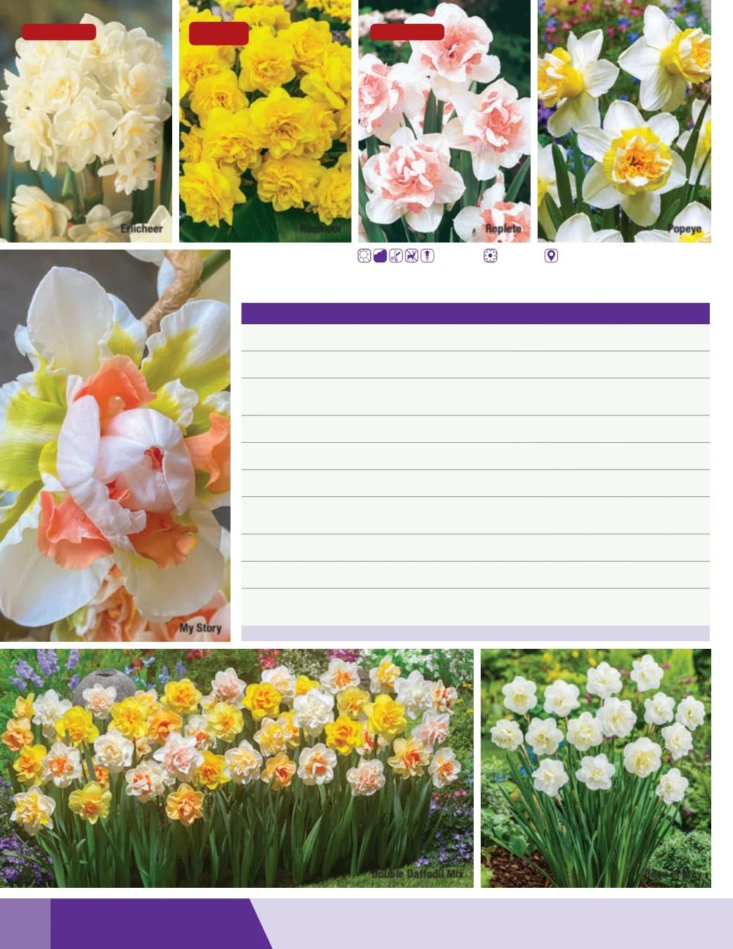K. van Bourgondien Fall 2026 Catalog Weekly Ad July 1 - December 31, 2026