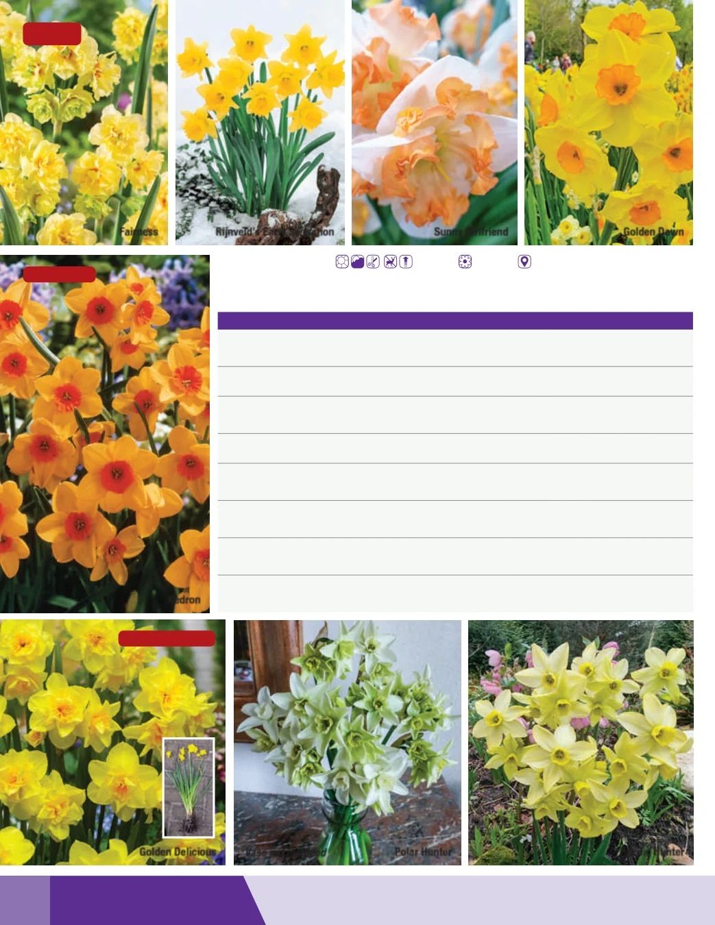K. van Bourgondien Fall 2026 Catalog Weekly Ad July 1 - December 31, 2026