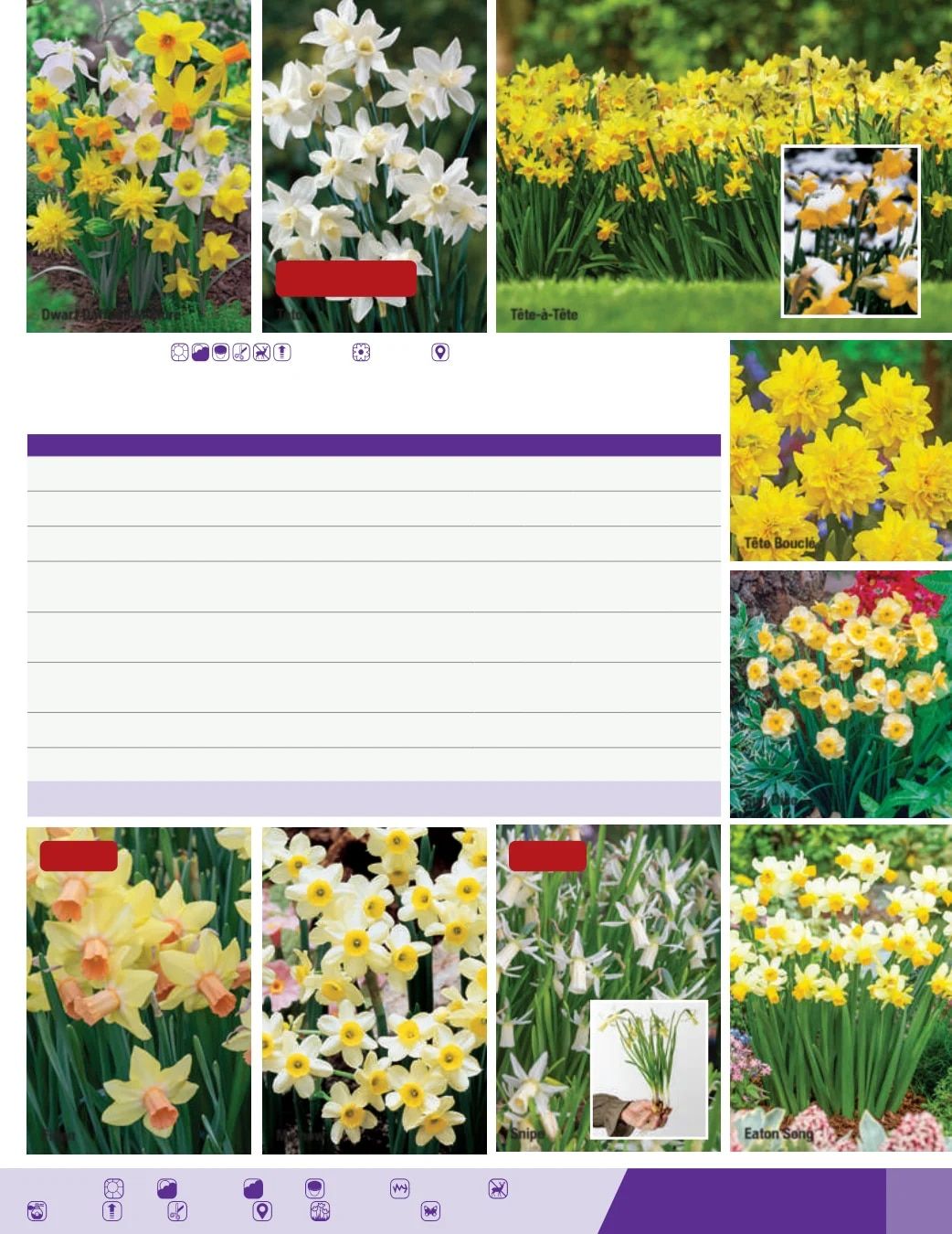 K. van Bourgondien Fall 2026 Catalog Weekly Ad July 1 - December 31, 2026
