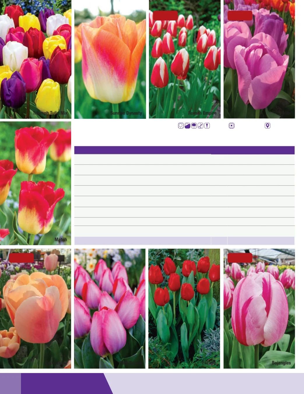 K. van Bourgondien Fall 2026 Catalog Weekly Ad July 1 - December 31, 2026