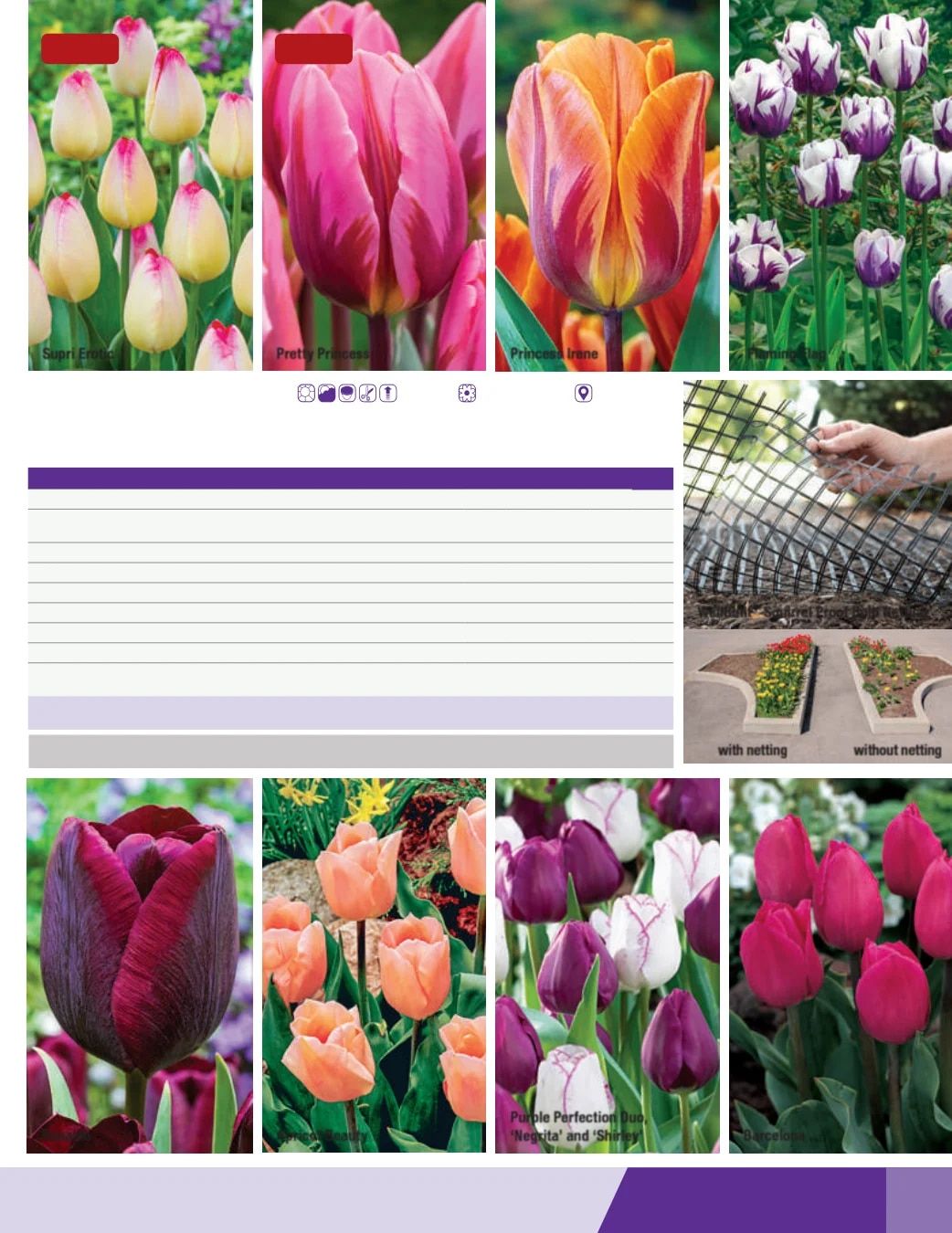 K. van Bourgondien Fall 2026 Catalog Weekly Ad July 1 - December 31, 2026