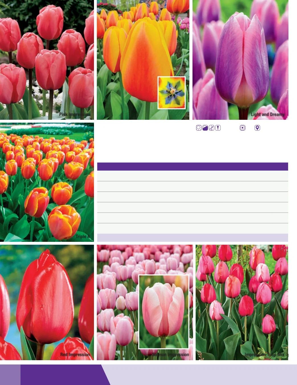 K. van Bourgondien Fall 2026 Catalog Weekly Ad July 1 - December 31, 2026