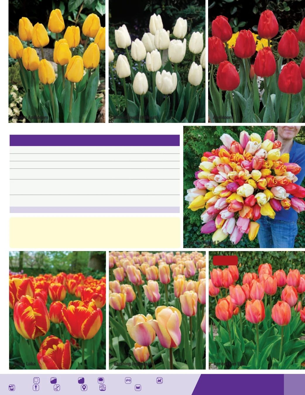 K. van Bourgondien Fall 2026 Catalog Weekly Ad July 1 - December 31, 2026