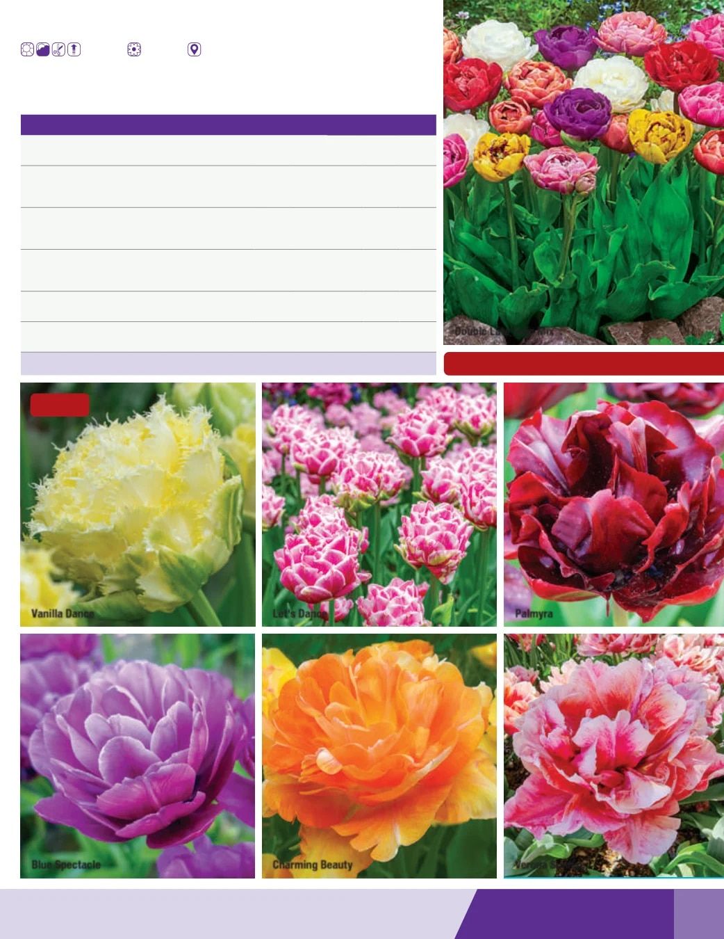 K. van Bourgondien Fall 2026 Catalog Weekly Ad July 1 - December 31, 2026