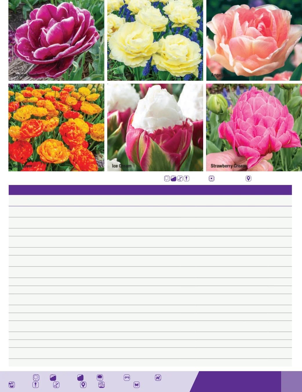 K. van Bourgondien Fall 2026 Catalog Weekly Ad July 1 - December 31, 2026