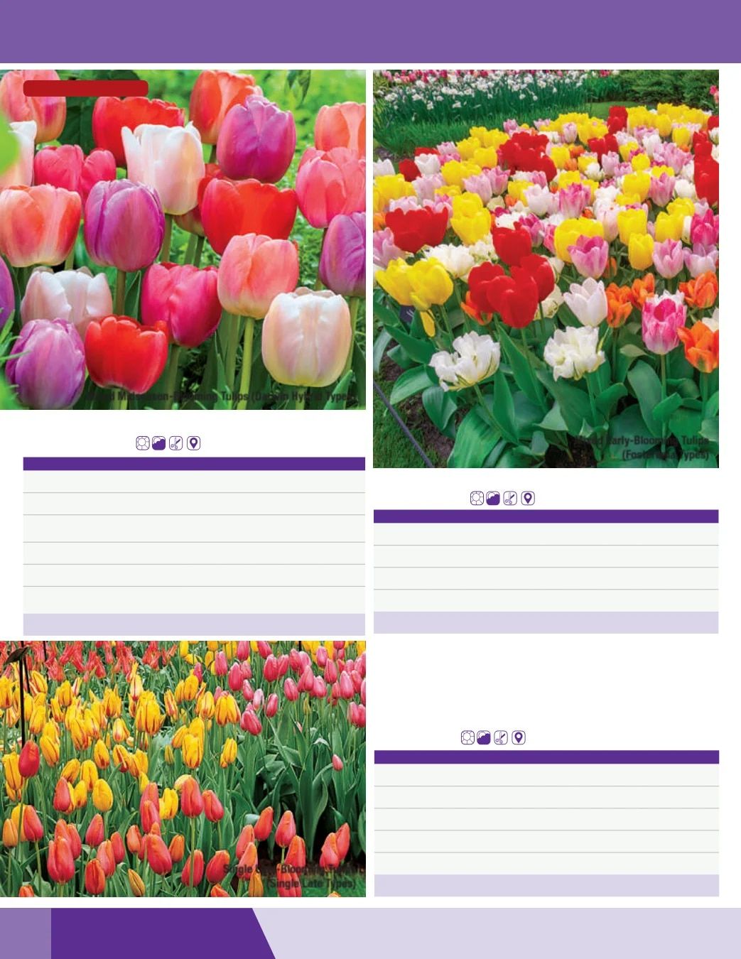 K. van Bourgondien Fall 2026 Catalog Weekly Ad July 1 - December 31, 2026