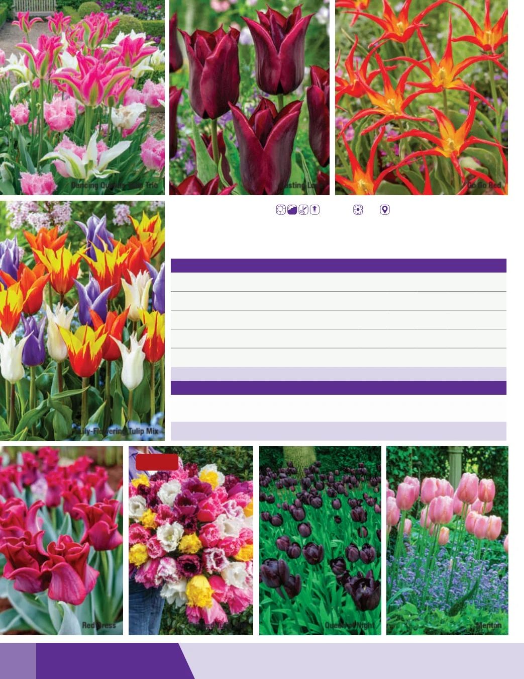 K. van Bourgondien Fall 2026 Catalog Weekly Ad July 1 - December 31, 2026