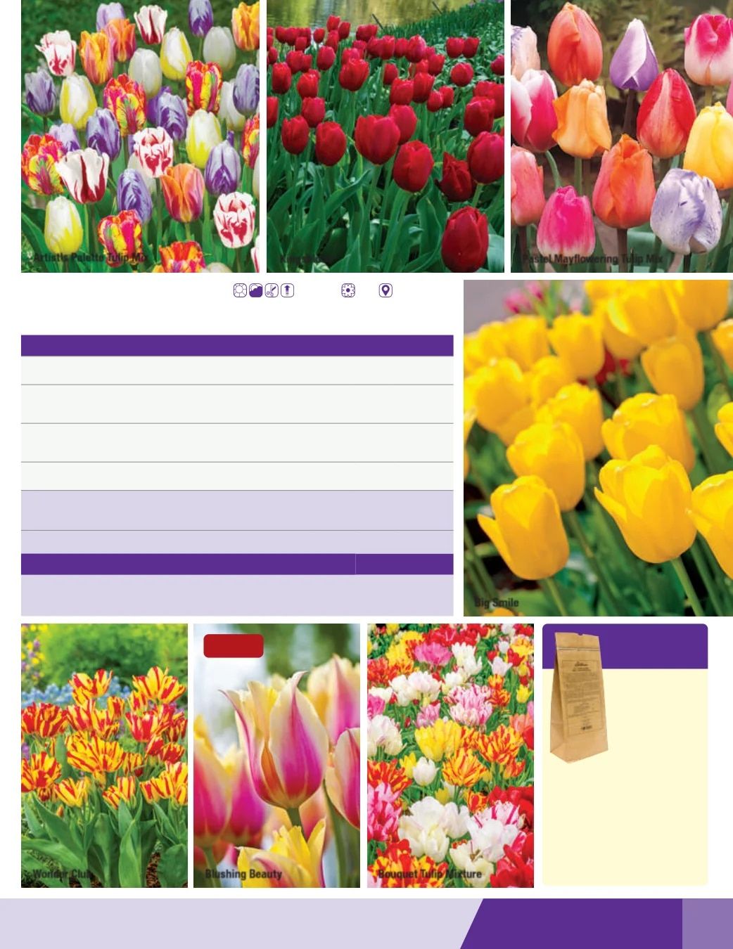 K. van Bourgondien Fall 2026 Catalog Weekly Ad July 1 - December 31, 2026