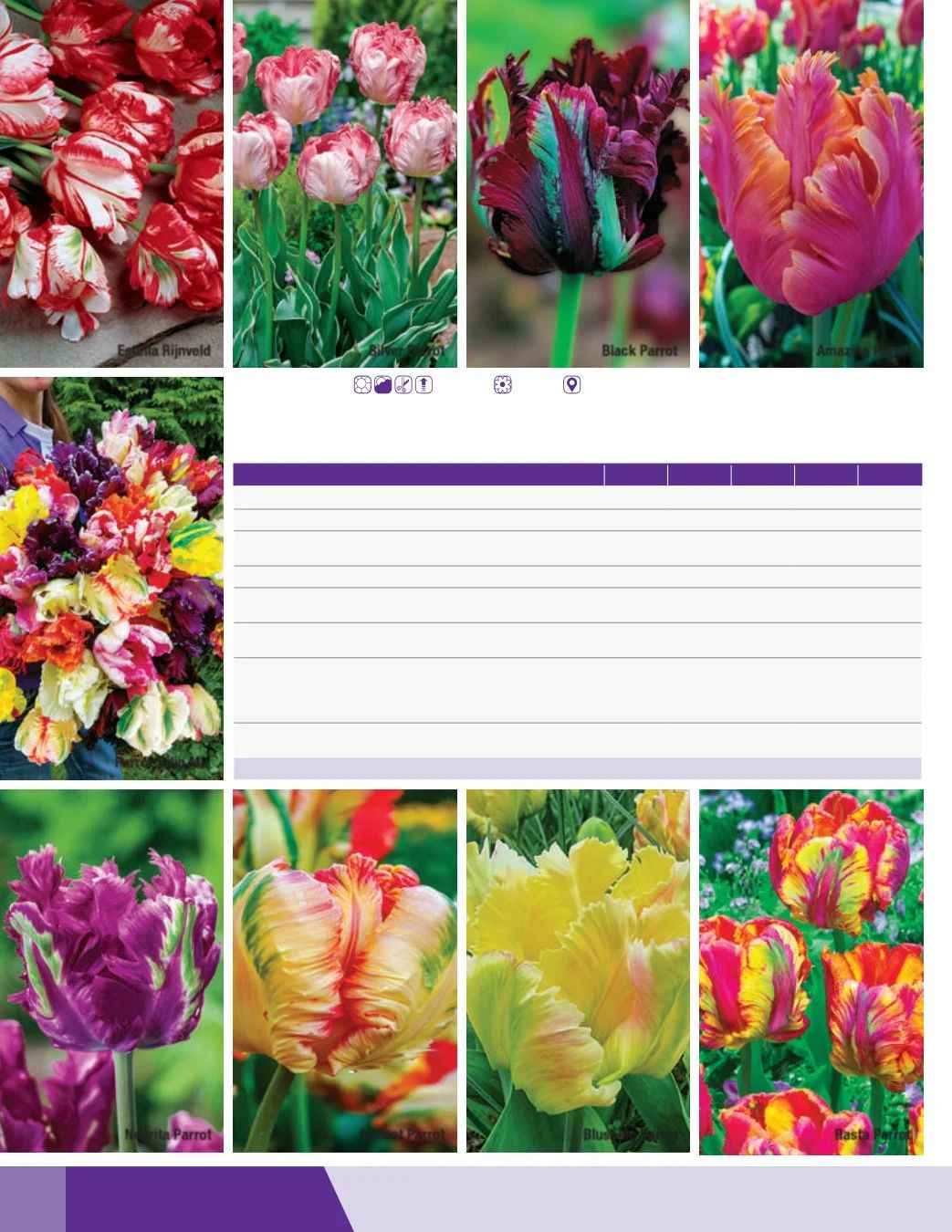 K. van Bourgondien Fall 2026 Catalog Weekly Ad July 1 - December 31, 2026