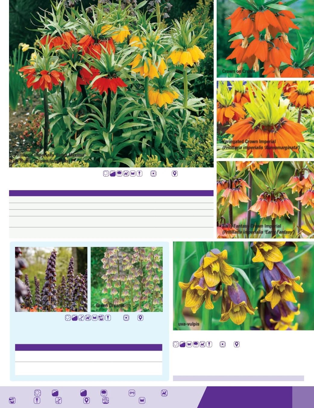 K. van Bourgondien Fall 2026 Catalog Weekly Ad July 1 - December 31, 2026