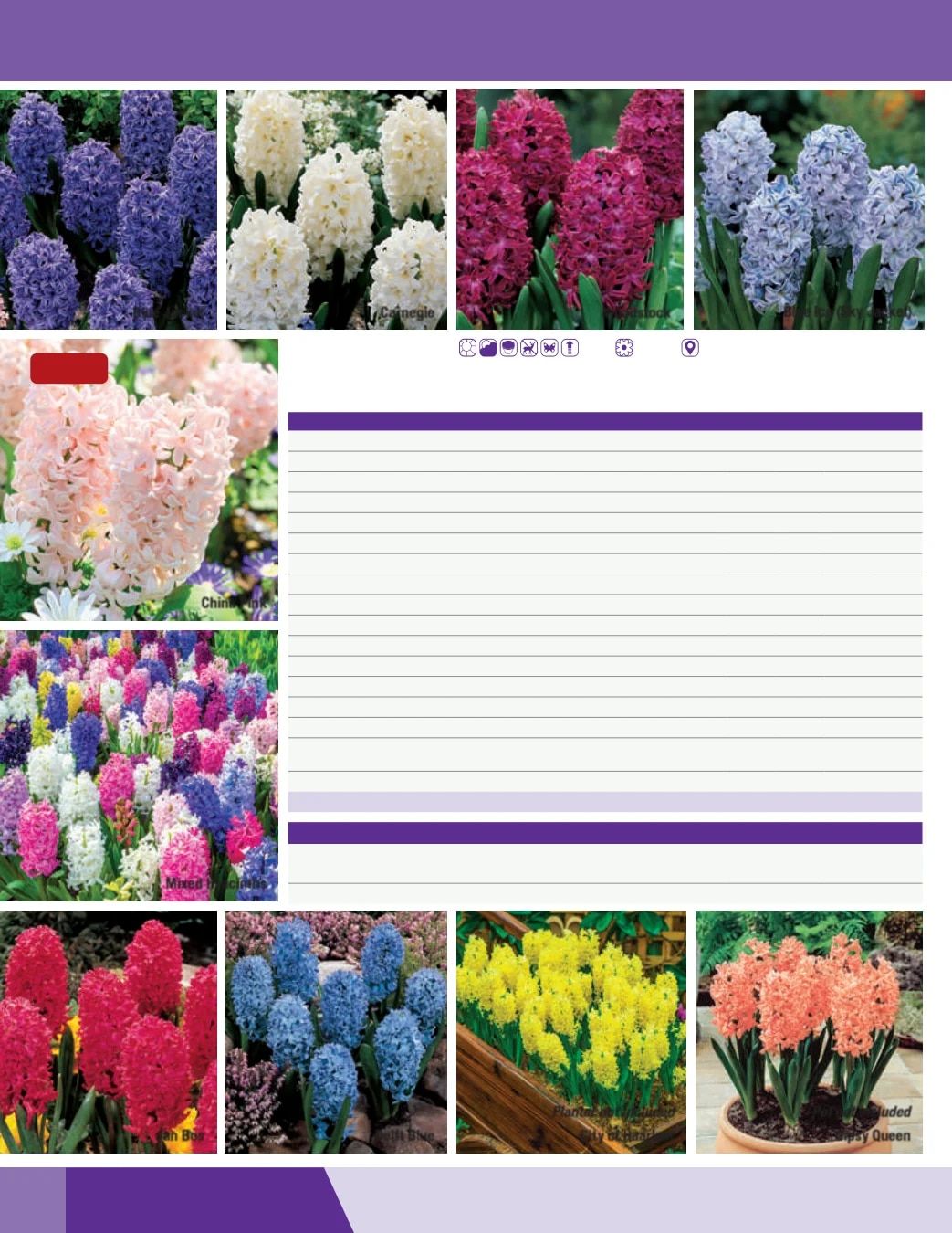 K. van Bourgondien Fall 2026 Catalog Weekly Ad July 1 - December 31, 2026