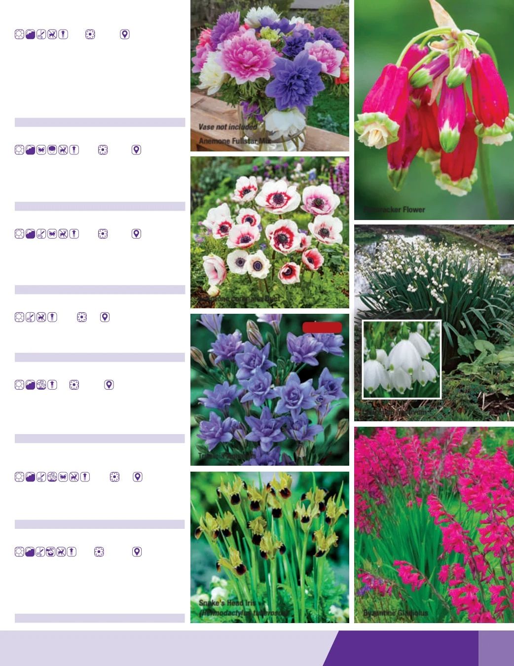 K. van Bourgondien Fall 2026 Catalog Weekly Ad July 1 - December 31, 2026