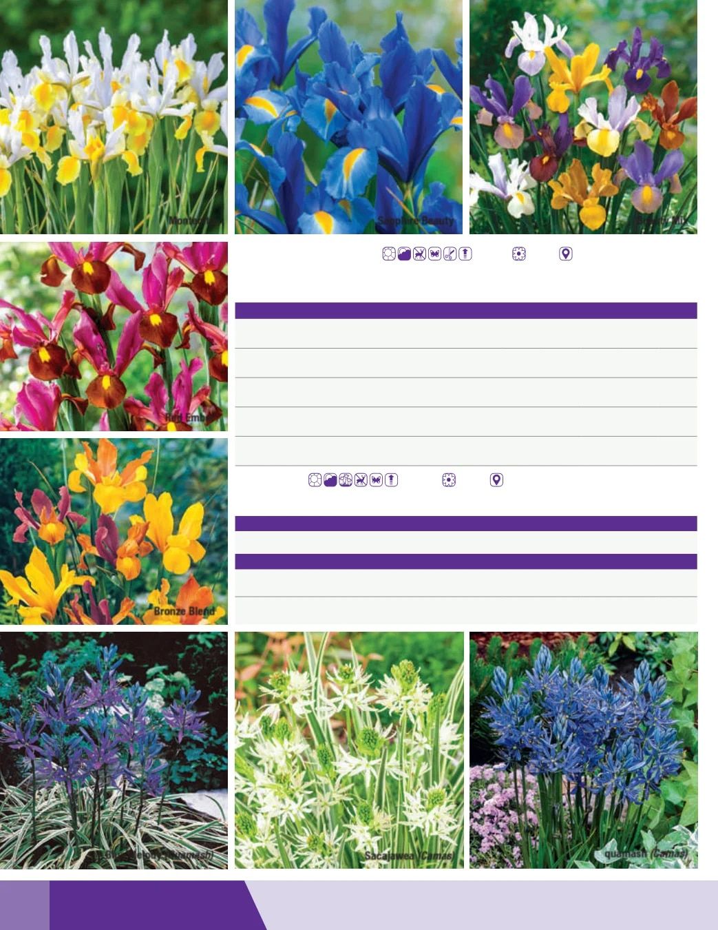 K. van Bourgondien Fall 2026 Catalog Weekly Ad July 1 - December 31, 2026