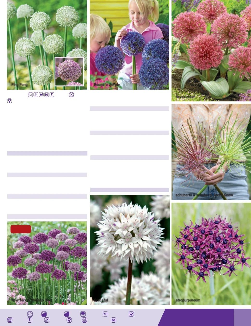 K. van Bourgondien Fall 2026 Catalog Weekly Ad July 1 - December 31, 2026