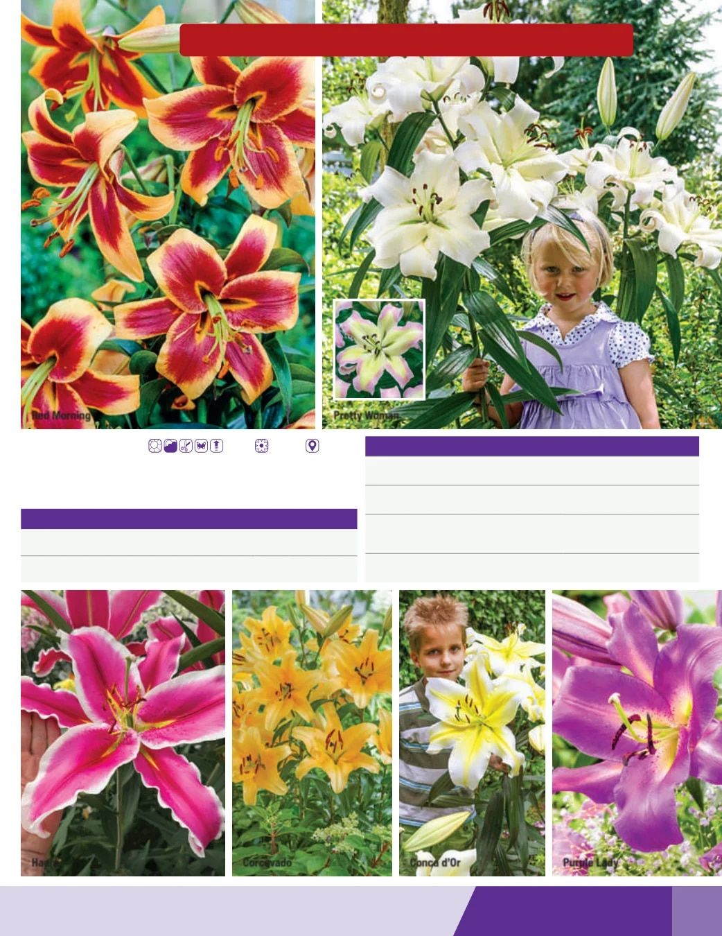 K. van Bourgondien Fall 2026 Catalog Weekly Ad July 1 - December 31, 2026