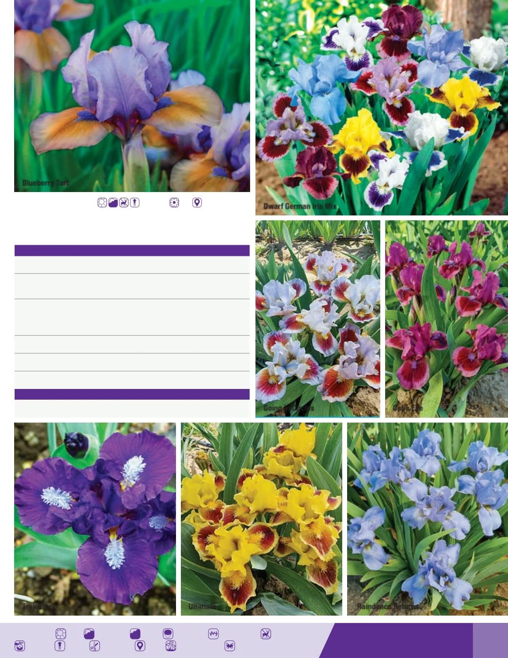 K. van Bourgondien Fall 2026 Catalog Weekly Ad July 1 - December 31, 2026