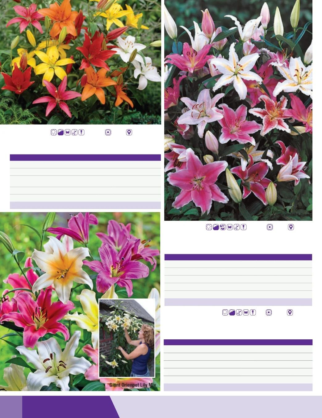 K. van Bourgondien Fall 2026 Catalog Weekly Ad July 1 - December 31, 2026