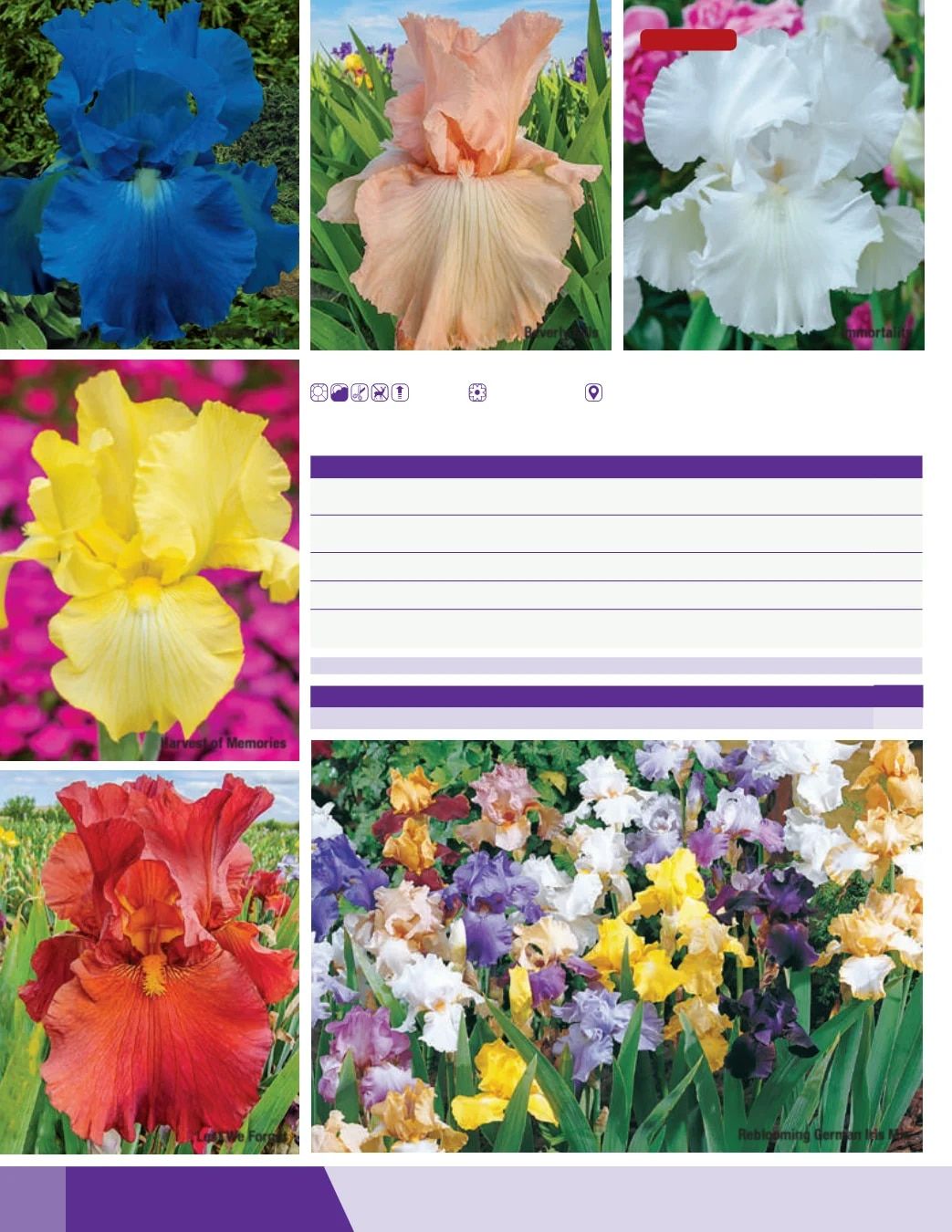 K. van Bourgondien Fall 2026 Catalog Weekly Ad July 1 - December 31, 2026