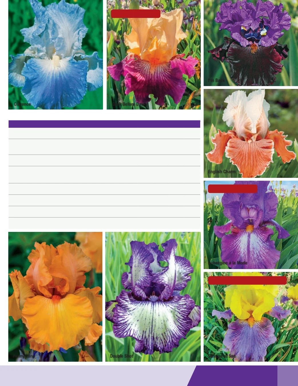 K. van Bourgondien Fall 2026 Catalog Weekly Ad July 1 - December 31, 2026