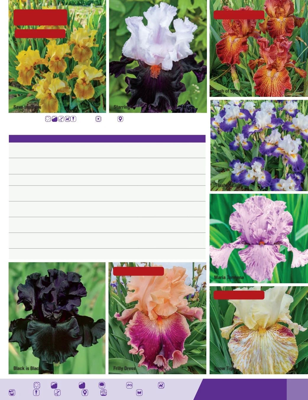 K. van Bourgondien Fall 2026 Catalog Weekly Ad July 1 - December 31, 2026
