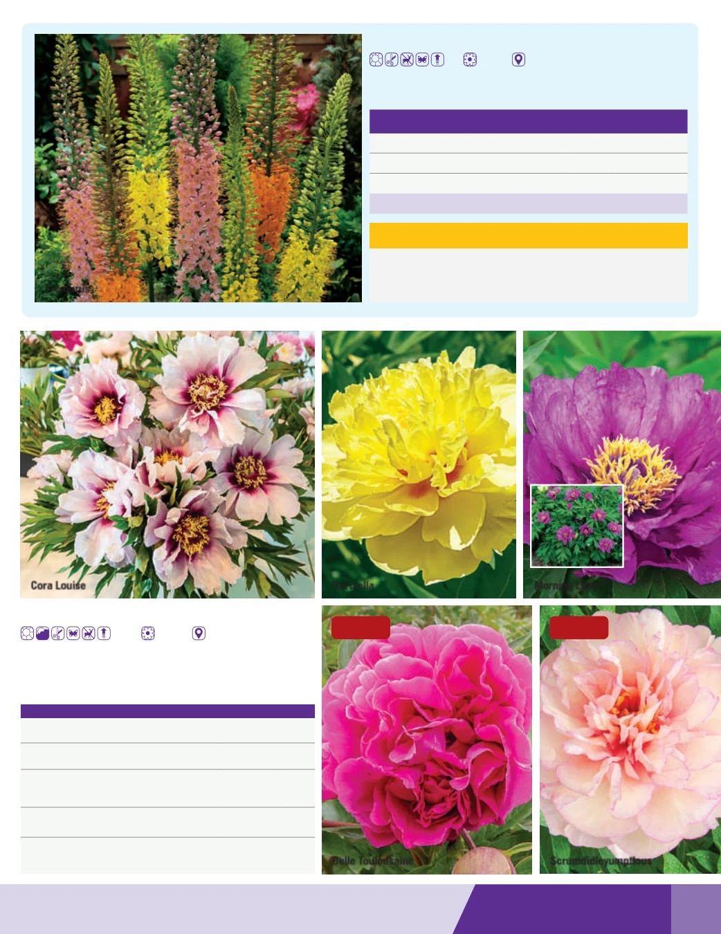K. van Bourgondien Fall 2026 Catalog Weekly Ad July 1 - December 31, 2026