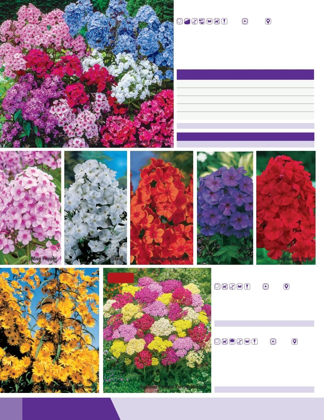 K. van Bourgondien Fall 2026 Catalog Weekly Ad July 1 - December 31, 2026