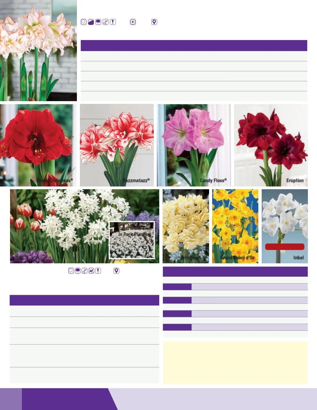 K. van Bourgondien Fall 2026 Catalog Weekly Ad July 1 - December 31, 2026
