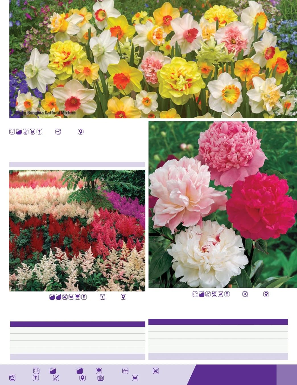 K. van Bourgondien Fall 2026 Catalog Weekly Ad July 1 - December 31, 2026