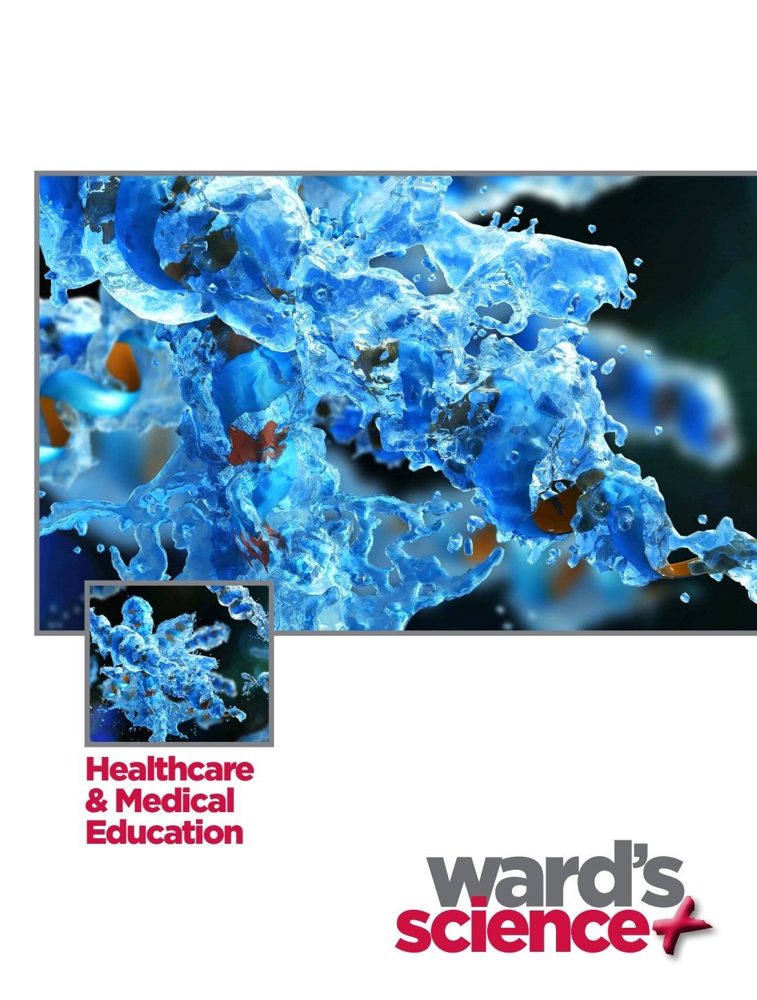 Ward's Science Healthcare & Medical Education Catalog Weekly Ad January 1 - December 31, 2026