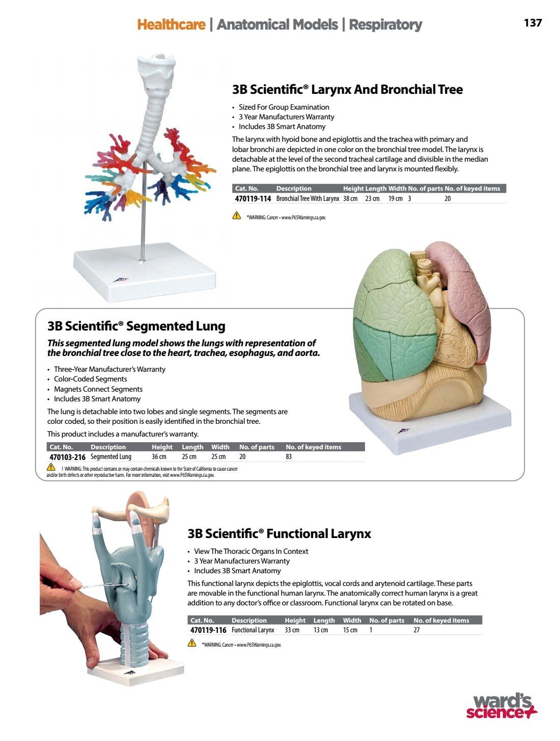 Ward's Science Healthcare & Medical Education Catalog Weekly Ad January 1 - December 31, 2026