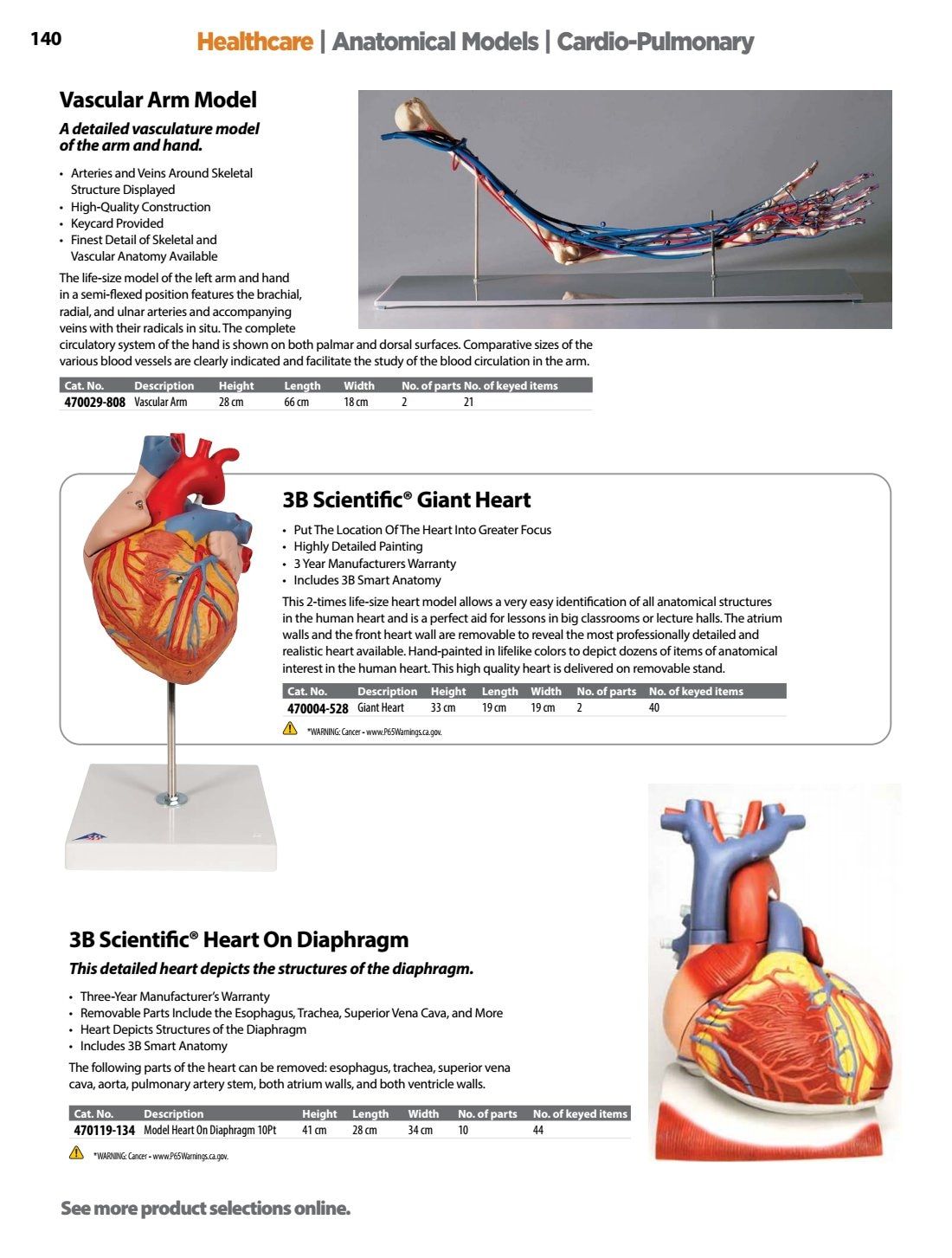 Ward's Science Healthcare & Medical Education Catalog Weekly Ad January 1 - December 31, 2026