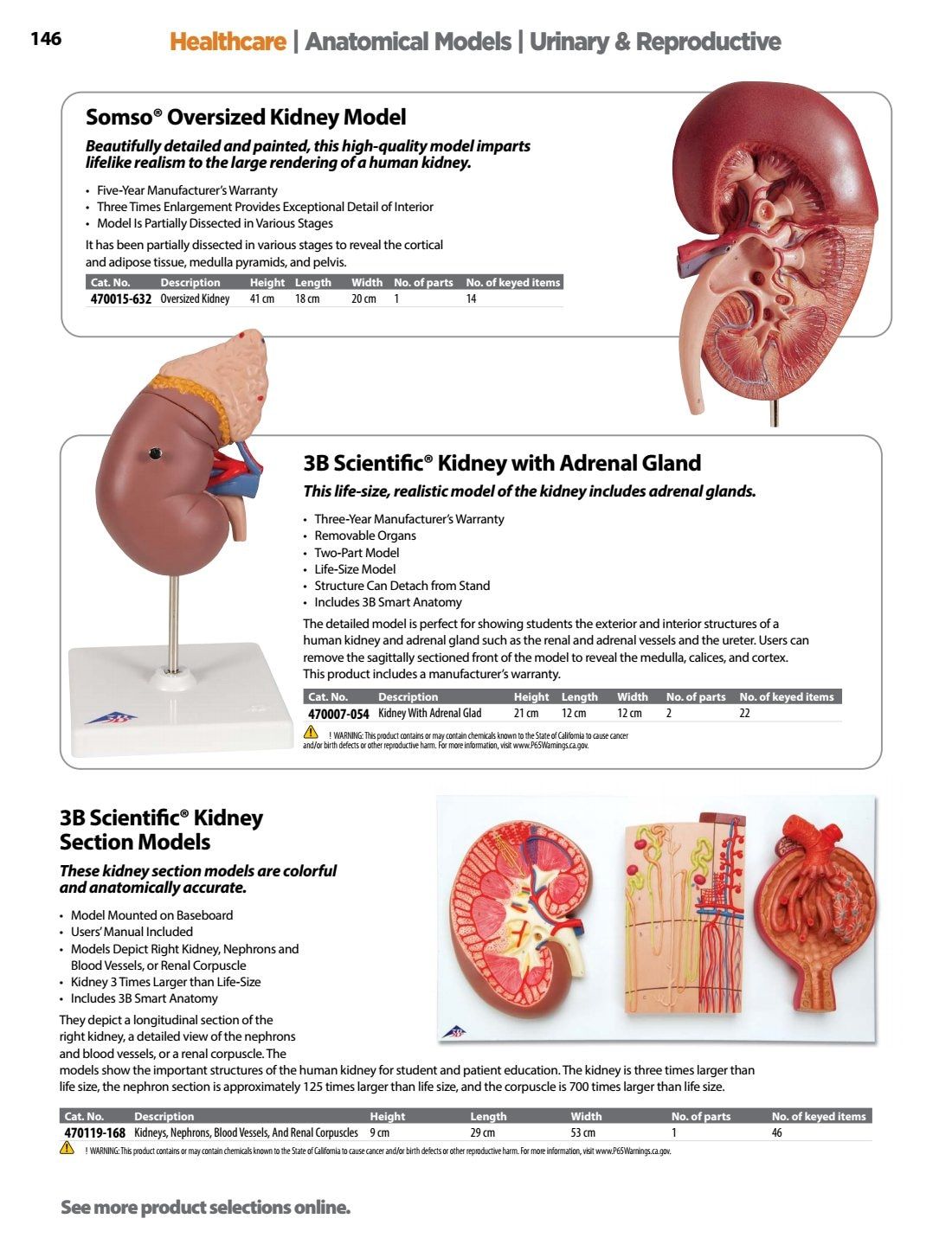 Ward's Science Healthcare & Medical Education Catalog Weekly Ad January 1 - December 31, 2026