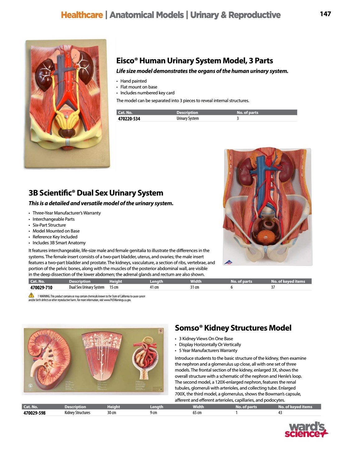 Ward's Science Healthcare & Medical Education Catalog Weekly Ad January 1 - December 31, 2026