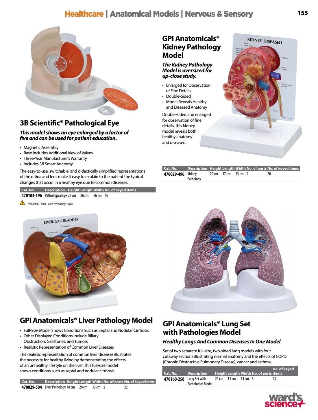 Ward's Science Healthcare & Medical Education Catalog Weekly Ad January 1 - December 31, 2026