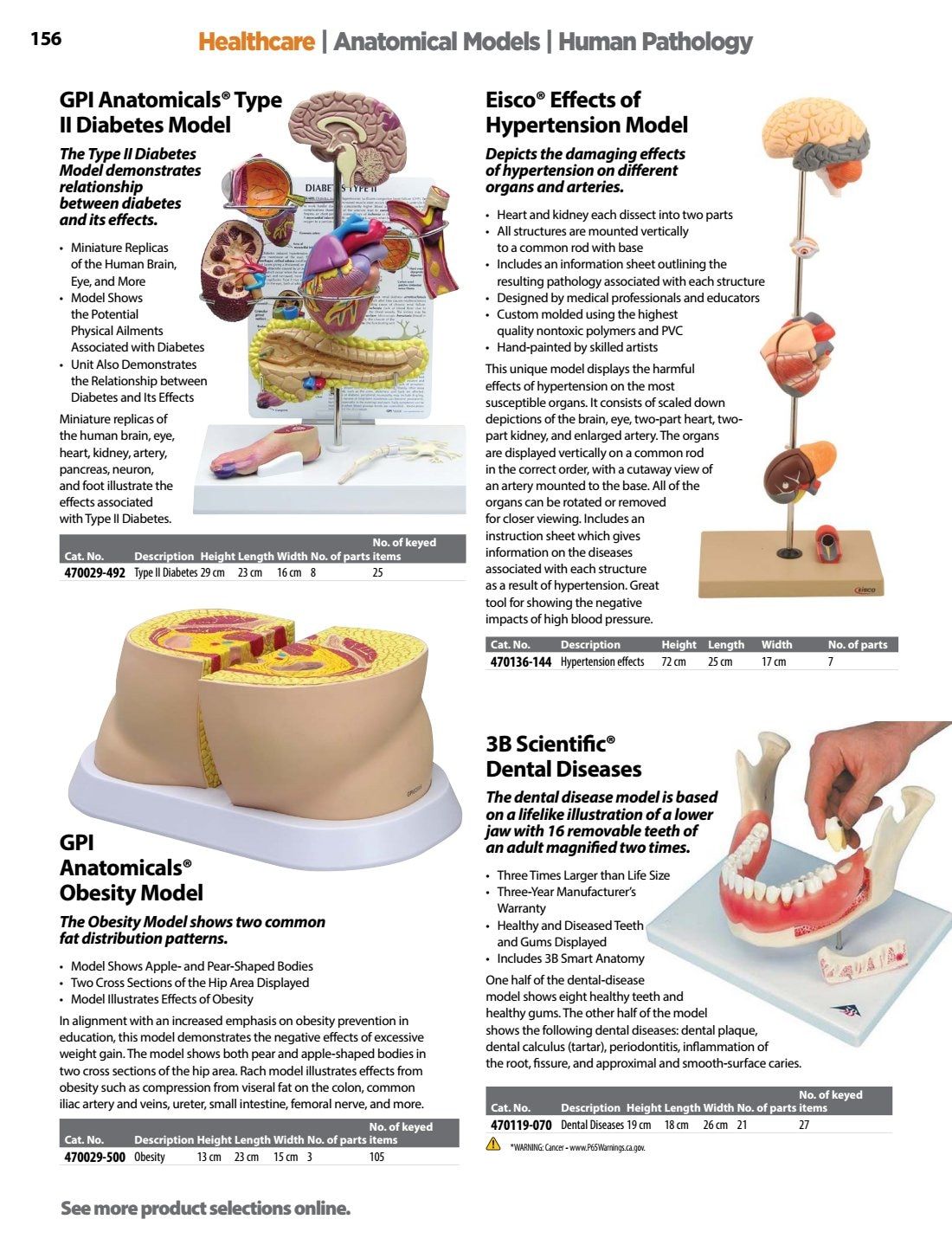 Ward's Science Healthcare & Medical Education Catalog Weekly Ad January 1 - December 31, 2026
